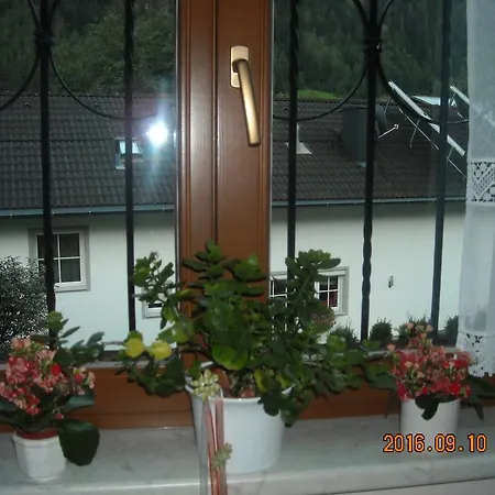 Haus Rosi Guest house